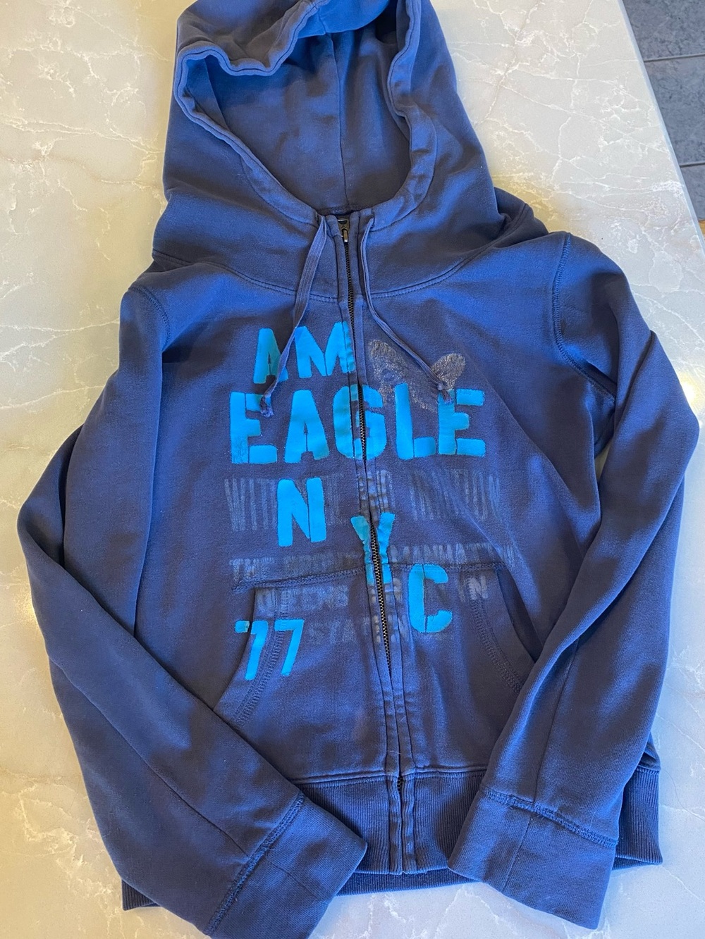 American Eagle Outfitters Navy Zip-Up Hoodie with Gold Tone Hardware